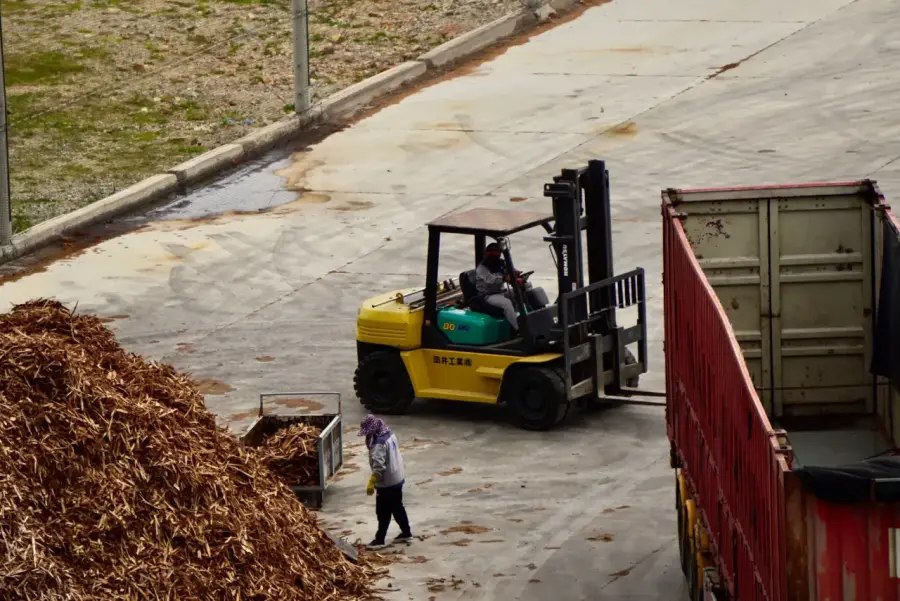 Logistics workers loading a container at a yard