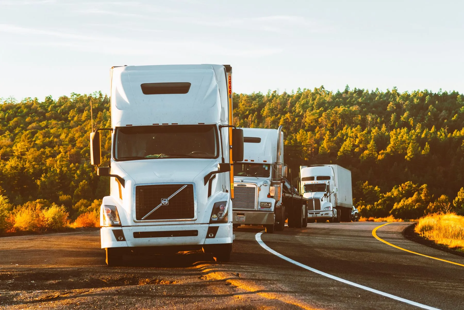 Freight trucks on a highway through forest